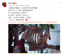 在这里,找到你 ▏食在2021,最近的年货节该怎么囤?