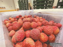 万纬冷链助力广西生鲜行销全国