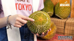 被誉为榴莲中的爱马仕的猫山旺品质到底有多高？