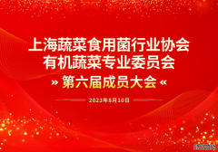 热烈祝贺！李相军总裁当选为上海有机专委会主任！